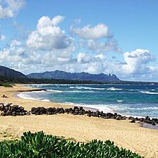 Kauai Beach Villas &mdash; Beach