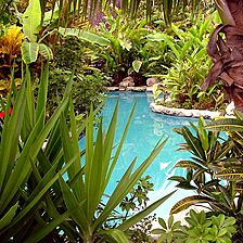 Club Mahindra Snowview Resort — - Pool
