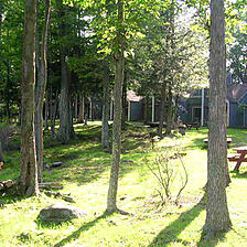 Tanglwood Resort — - Grounds