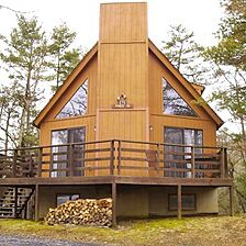 The Pines