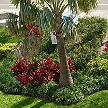 Surf Rider Resort — Grounds