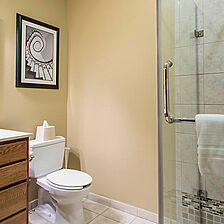 Bluegreen Odyssey Dells — Bathroom