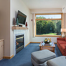 Little Sweden — Living Area