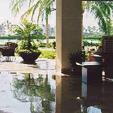 Mayan Sea Garden