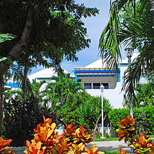 Paradise Island Beach Club — Grounds