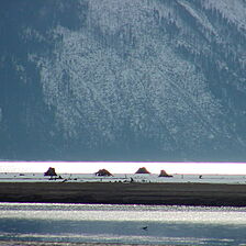 Pend Oreille Shores Resort — Green Monarch Mountains