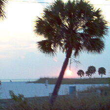 Treasure Island Beach Club — - Sunset