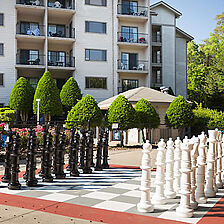 Laurel Crest Resort — amenities: outdoor chess