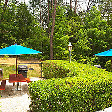 Laurel Crest Resort — Picnic tables and BBQ area