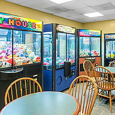 Laurel Crest Resort — amenities: game room