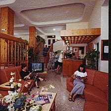 Chrysland Gardens Club