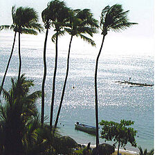Be Live Canoa Hotel — Oasis Canoa - Ocean View