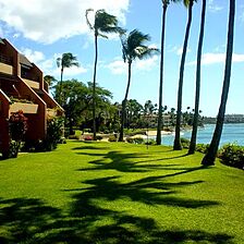The Kuleana Club — Grounds