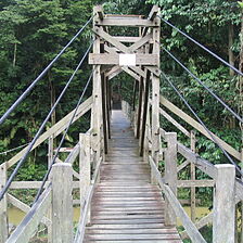 Club Asia International - Bukit Saban Resort — Suspension Bridge
