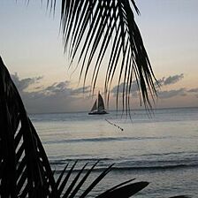 The Divi Heritage Resort — - View From Property