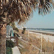 Riptide Beach Club — - View From Unit