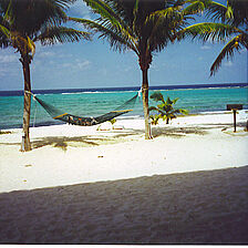 Morritt's Tortuga Club — Beach