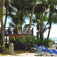Coral Costa Caribe Resort — Costa Caribe Resort - Poolside