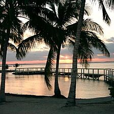 Abaco Towns by the Sea &mdash; Grounds