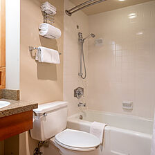 Iron Blosam Lodge — Sample bathroom
