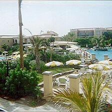 Palm Oasis — - Pool