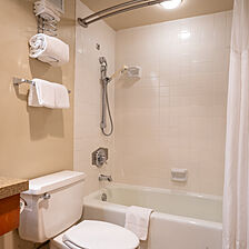 Iron Blosam Lodge — Sample bathroom