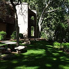 Lots of shade on grounds
