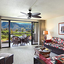 Living Room Area