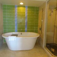 Master Bathtub & Shower