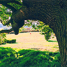 Barnsdale Country Club