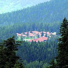 Ilgaz Mountain Resort
