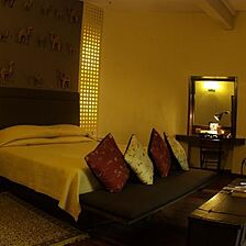 Ajit Bhawan — - Deluxe Room