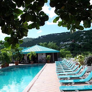 Flamboyan on the Bay &mdash; Poolside Bar