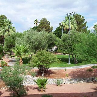 Grand Destination Vacation Club at the Oasis — Resort Grounds From Balcony