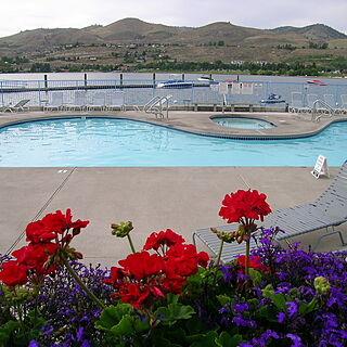 Peterson's Waterfront Resort