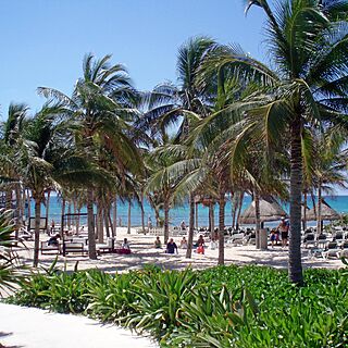 The Grand Mayan at Vidanta Riviera Maya — Grounds