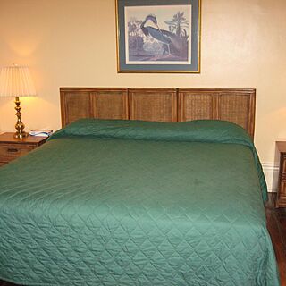 The Courtyards — Unit master bedroom