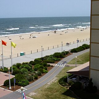 The Colony — Beach View