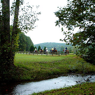 Table Rock Resort — - Horseback Riding