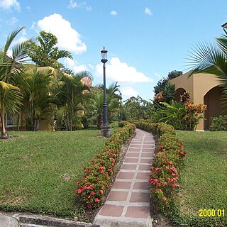 Amatique Bay Resort & Marina — Walkway at the