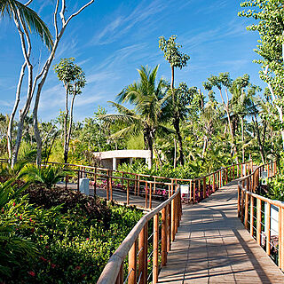 The Grand Mayan at Vidanta Nuevo Vallarta — Grounds