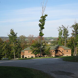 Peek'n Peak's Greenwood Forest