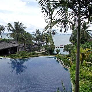The Village Coconut Island