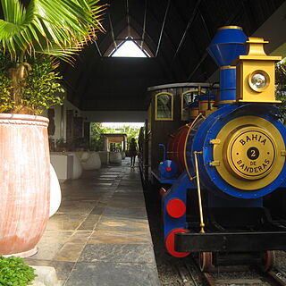 The Grand Mayan at Vidanta Nuevo Vallarta — Grand Mayan Train