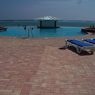 Morritt's Tortuga Club — Pool overlooking the sea