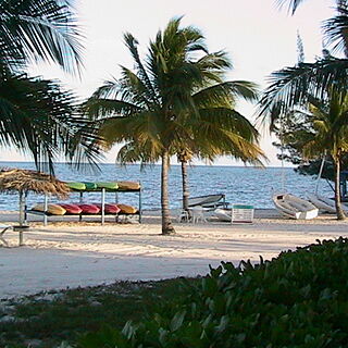 Viva Wyndham Fortuna Beach — Beach