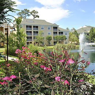 Sheraton Broadway Resort Villas — Exterior