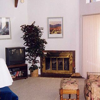 Innsbrook Village — - Vaulted Ceiling