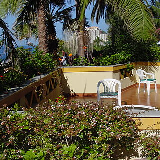 Carlton Palms — - Patio