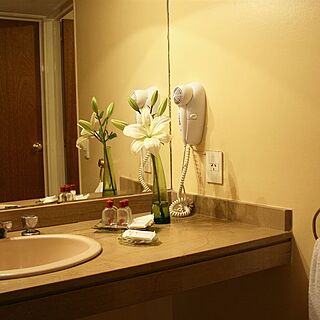 Park Royal Buenos Aires — Bathroom